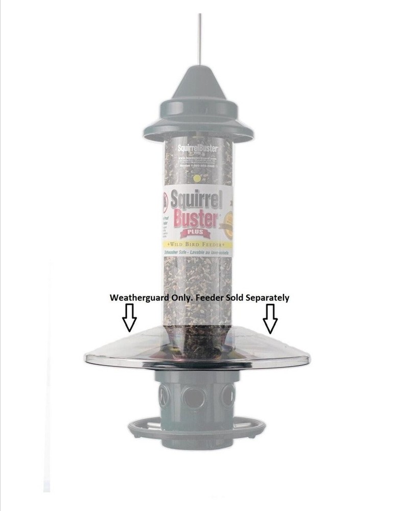 Brome Squirrel Buster Plus Weatherguard 1026 - Clear