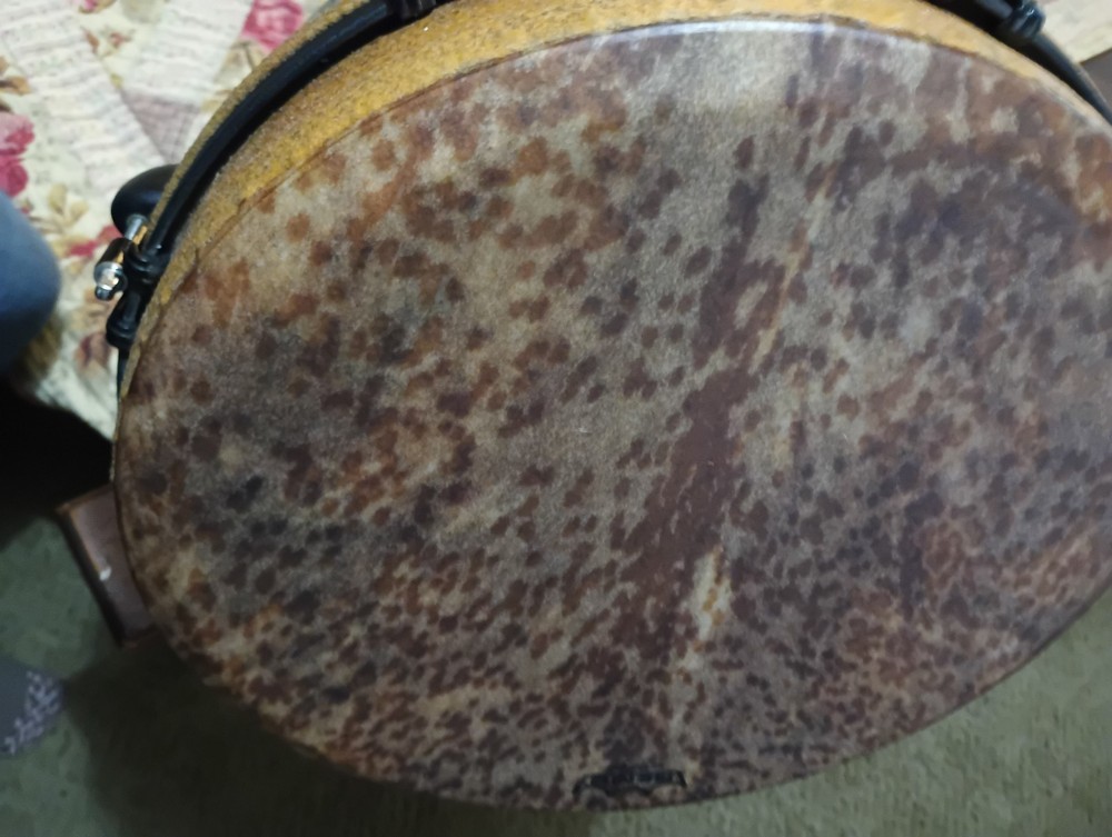 Skyndeep Remo Drum With Bag