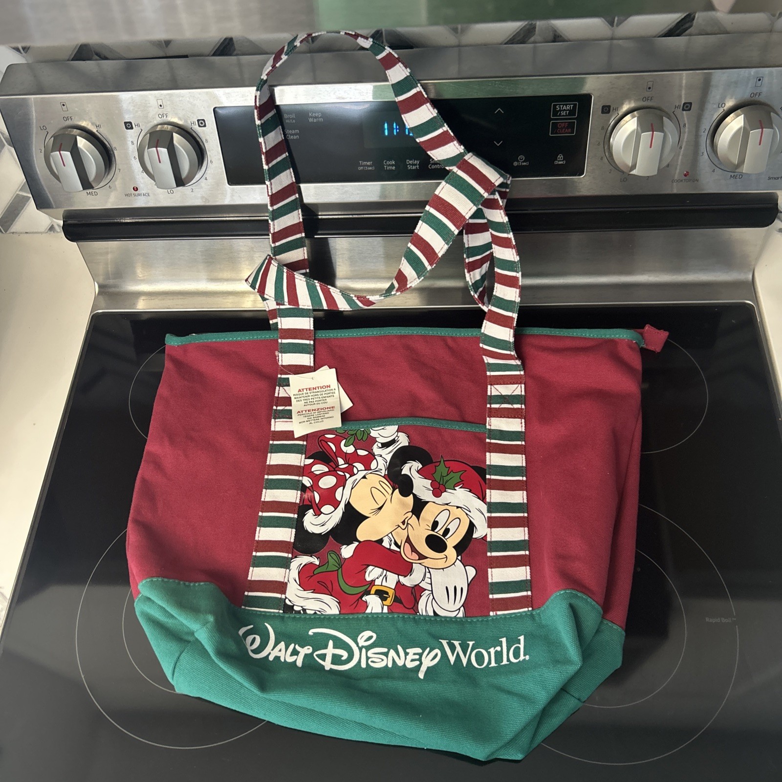 Walt Disney World Mickey & Minnie Mouse Christmas Canvas Tote Bag w/ Zipper NEW