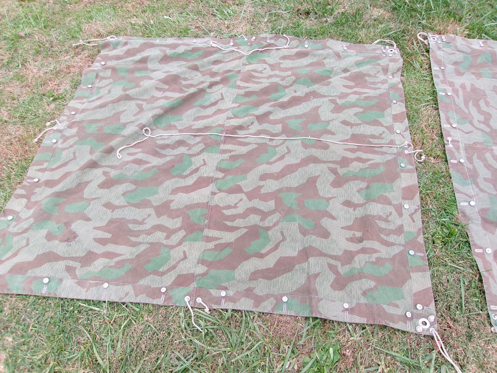 WW2 Swiss M31 Splittertarnmuster Tent - 2 Halves, Poles and Stakes