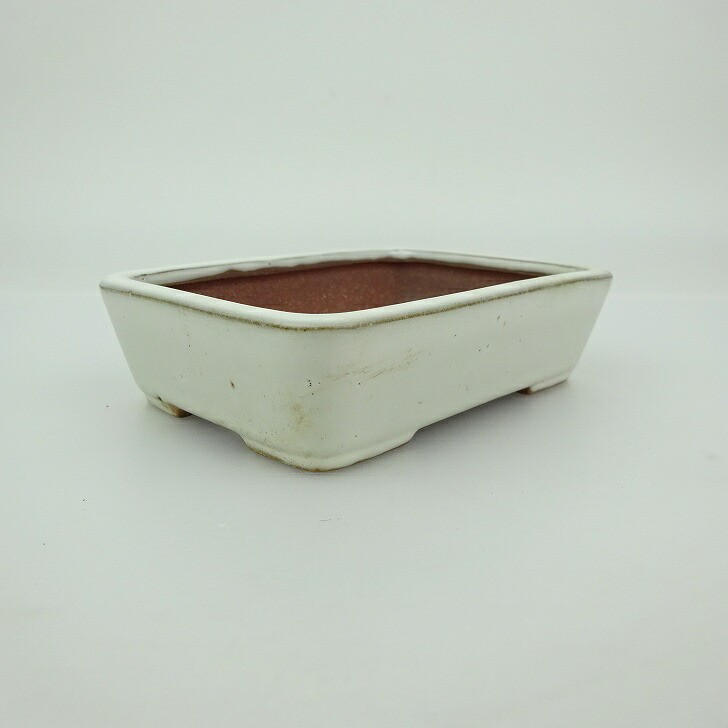 Japanese Bonsai Pot Seika Glazed Rectangular Bonsai Pot-BP246