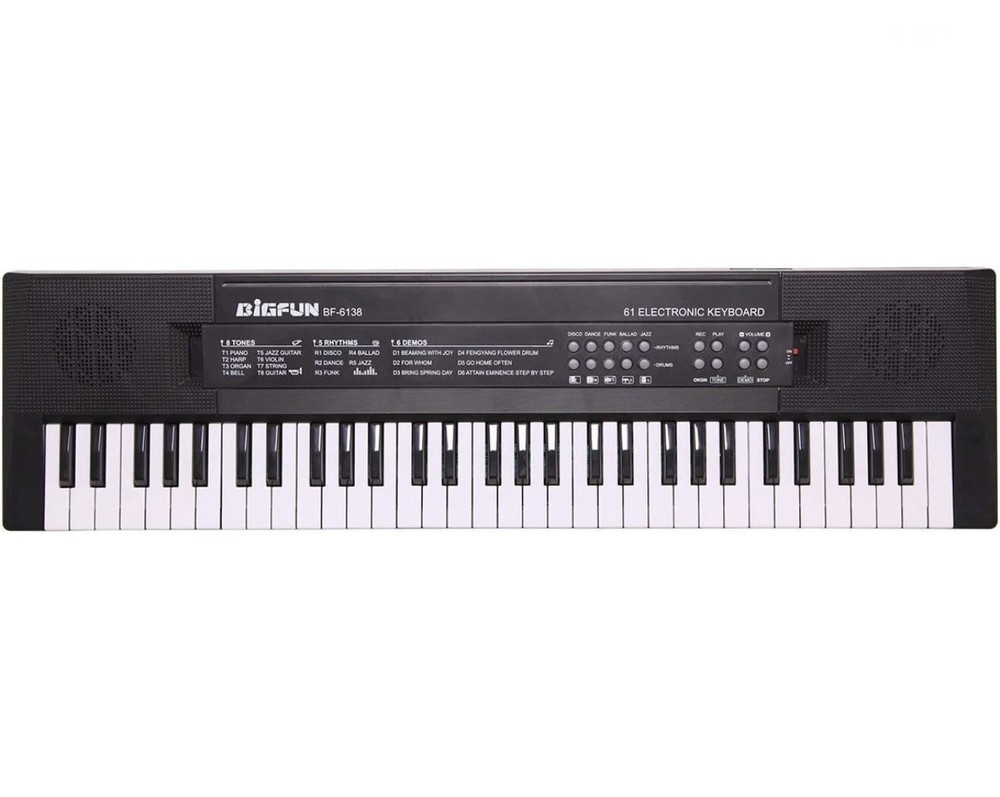 61 Keys Electronic Keyboard