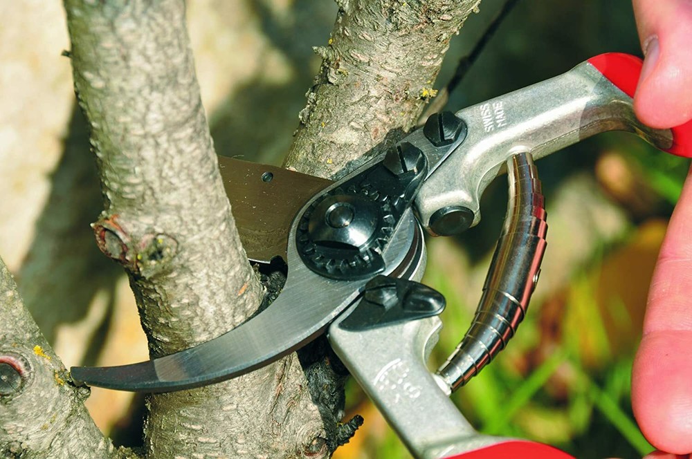 Felco 13 High Performance Hand Shear, Swiss Made, Special Long Handled Model