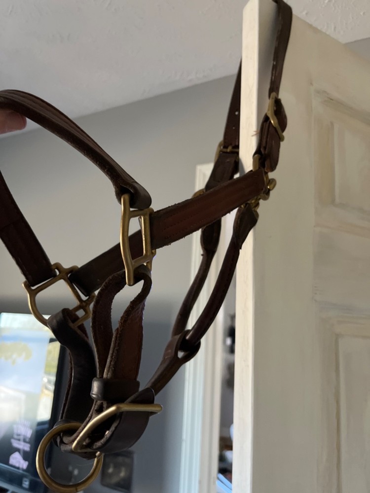 New Dover Equine bridal