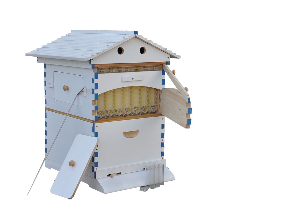 Painted Auto Langstroth Bee Hive Boxes Beekeeping Hives House 7x Bee Frames New