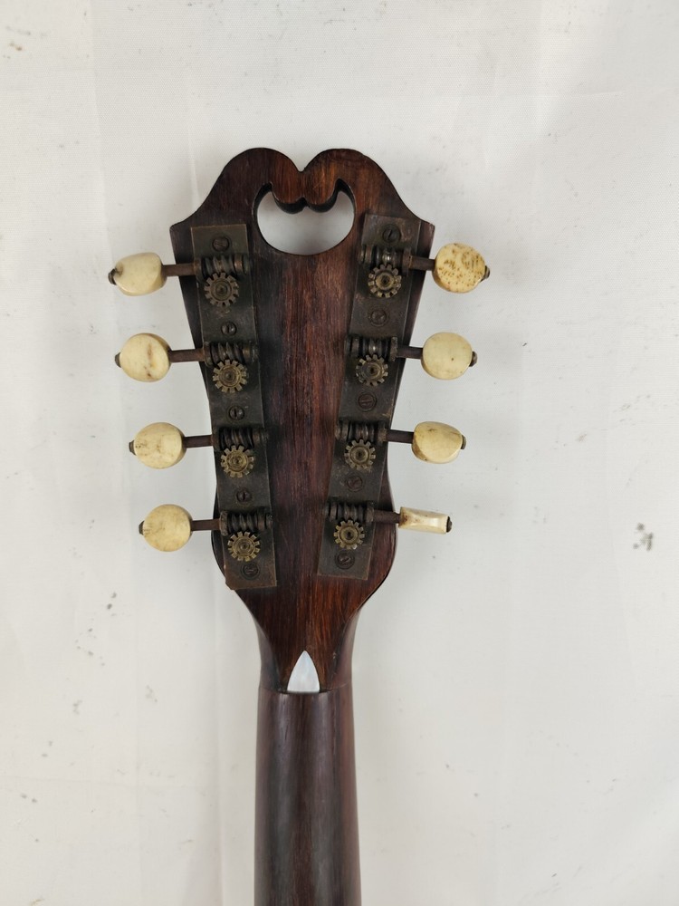 Mandolin 4/4 E. De Cristofaro 1901 Naples 曼陀林 만돌린マンドリン