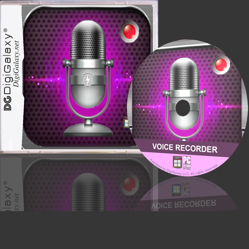 Voice Recorder - Any File Format (Windows 10 or Mac compatible)