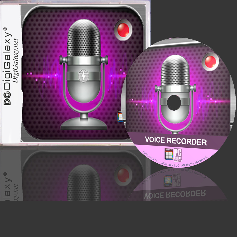 Voice Recorder - Any File Format  (Windows or Mac compatible)