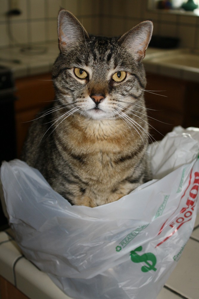 Tracking info. to Canada