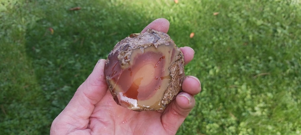 Bruneau Jasper Rough Old Stock