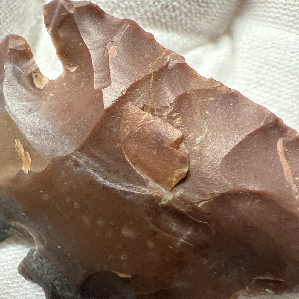 Chert Flint Serrated Edge Brown Gray Arrowhead