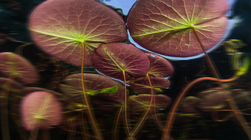 Tungsten Worm Weights - Terminal Tackle, Small Profile, BLACK