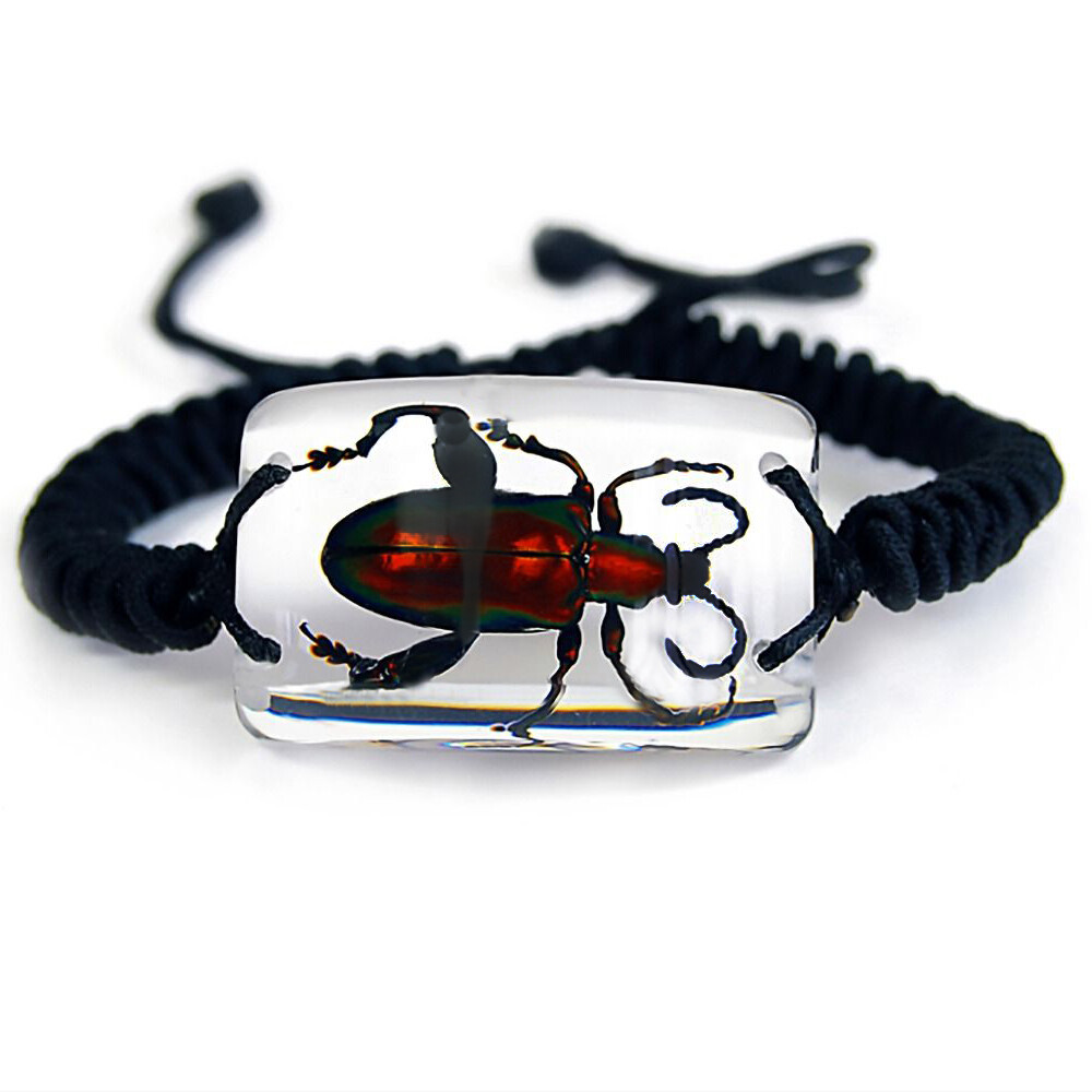 REAL Frog beetle bracelet