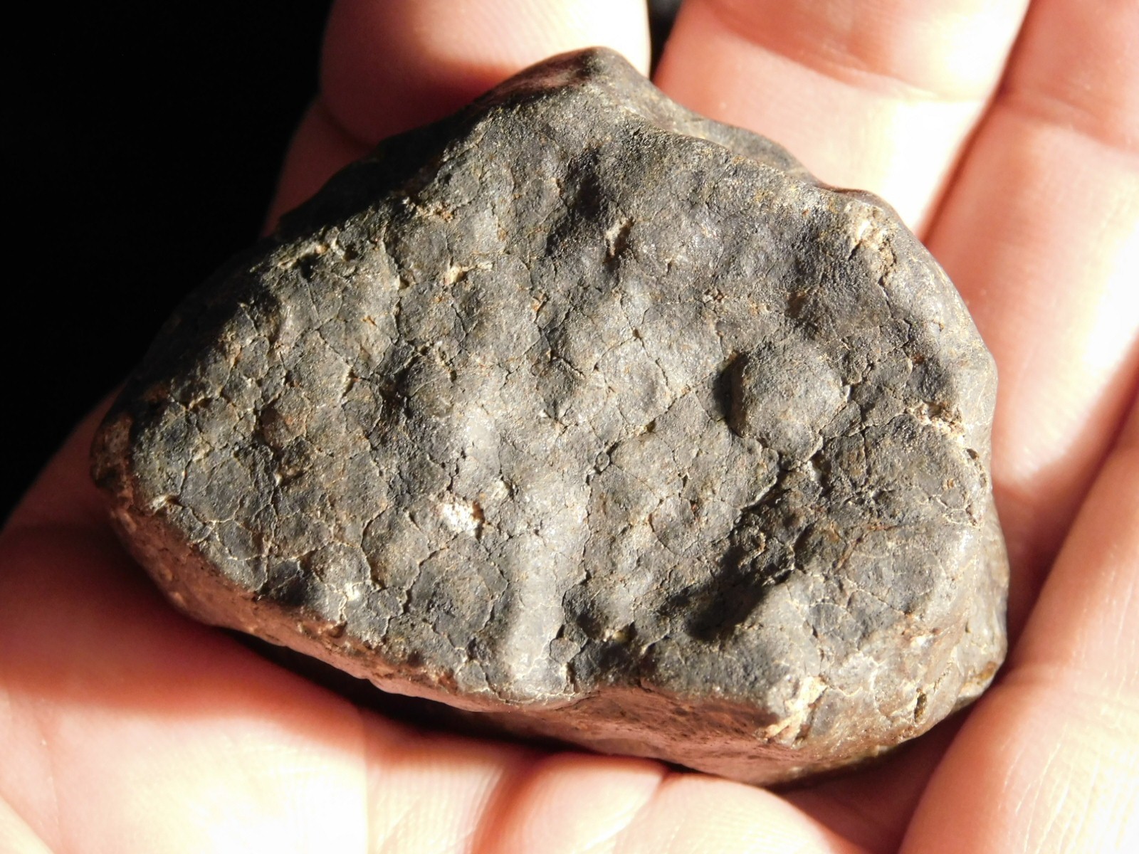 H6 Stony METEORITE Regmaglypts DARK Fusion Crust and Contraction CRACKS! 138gr