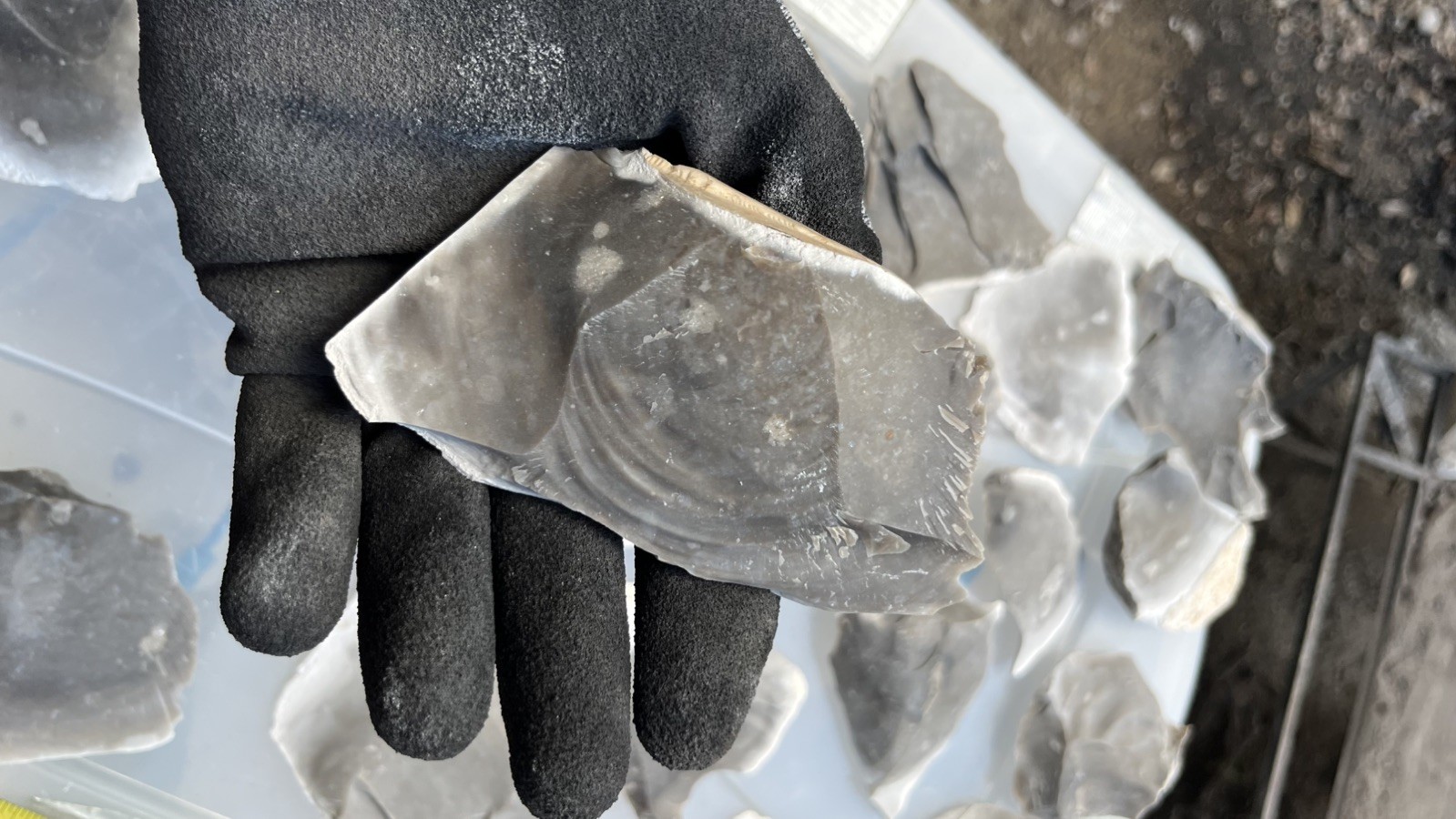 Heat Treated Variety Texas Chert/Flint spalls for making 1-5 in. Points -12 lbs.