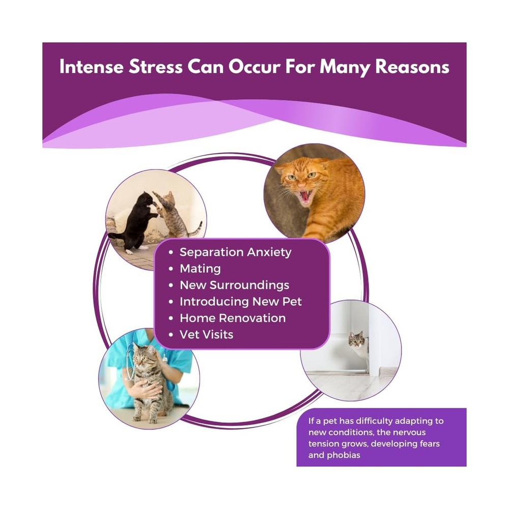 Cat Pheromone Diffuser Refill (Compatible with All Common Diffuser Heads) - 4...