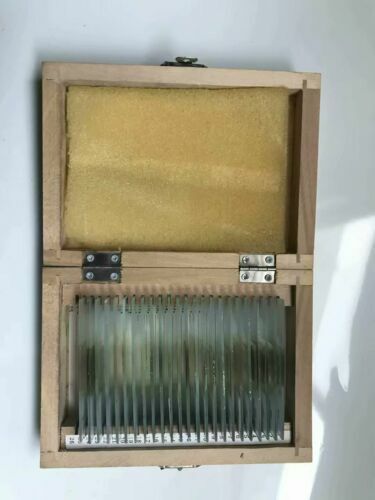 24PCS Geology Microscope Prepared Slides Mineral Thin Section Slides