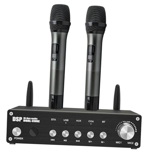 UHF Wireless Microphone System, Cordless Karaoke Microphone System with 2