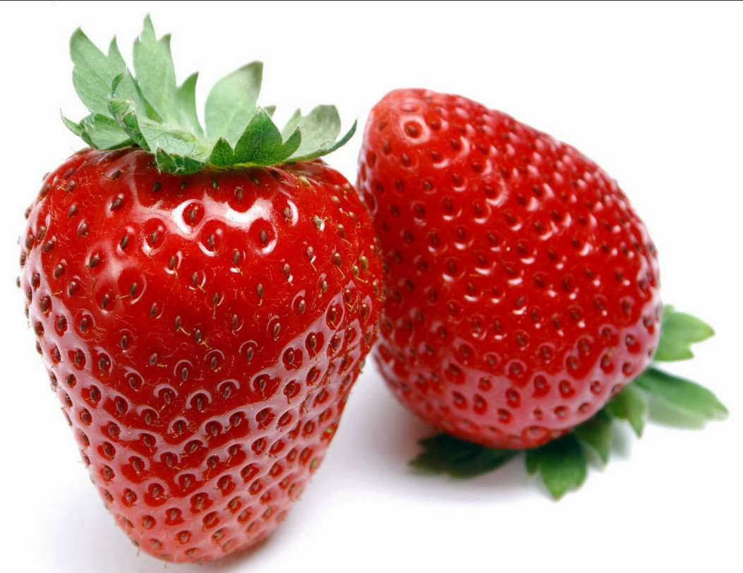 Eversweet Everbearing Strawberry 50 Bare Root Plants - Super Sweet