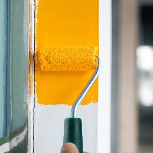 Paint Roller Kit, 12 Pack, 2 Inch Paint Roller, Mini Paint Roller with Tray