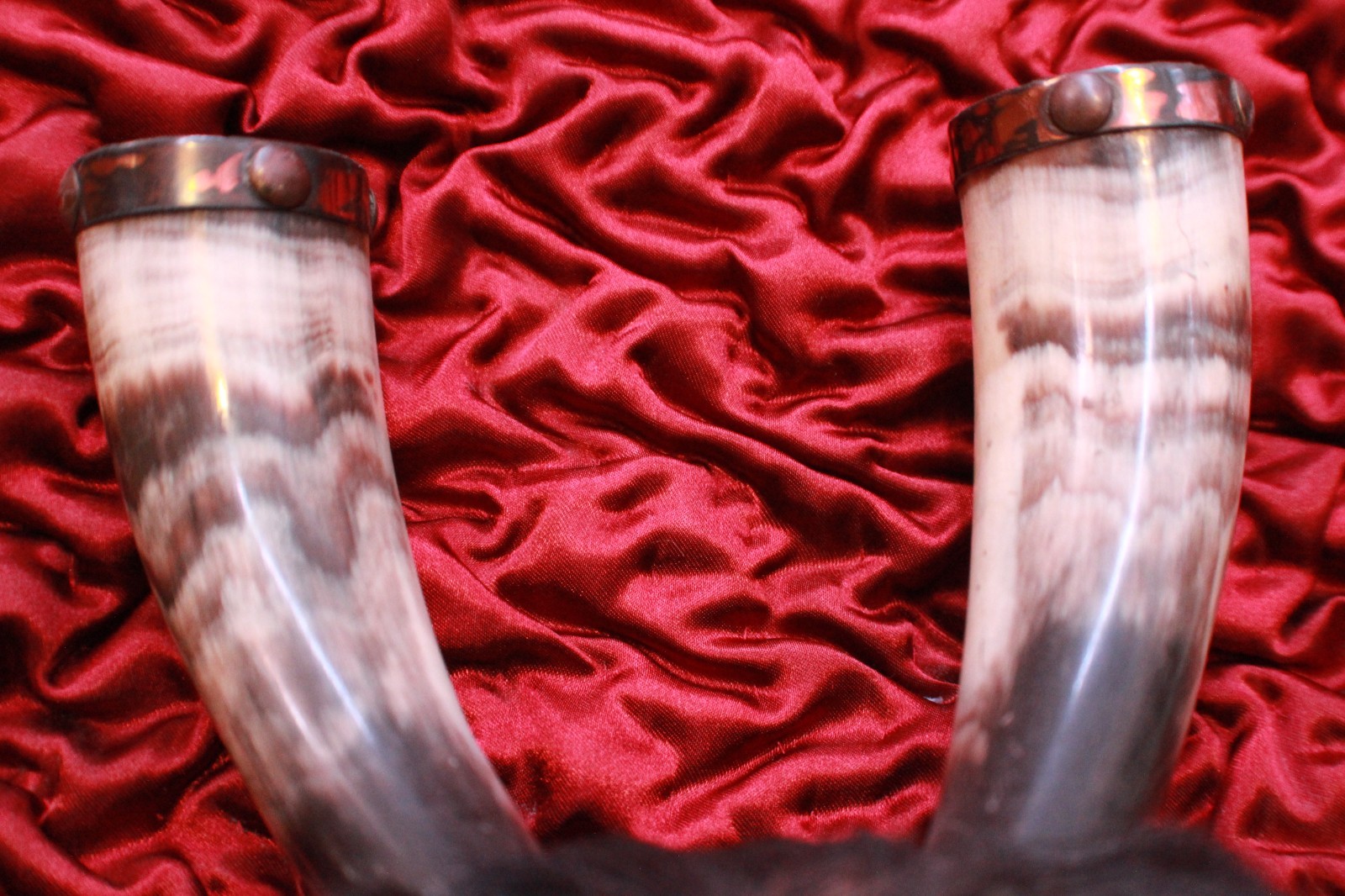 Antique Crow Native American Indian Split Buffalo Horn Bonnet early 19th Century