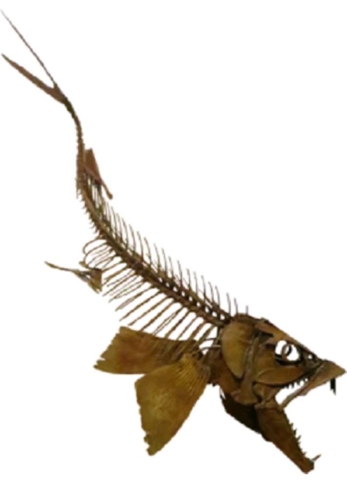 Fossilized Fa*ng From Extinct Pre*datory Fish~ Mosasaur From Morocco