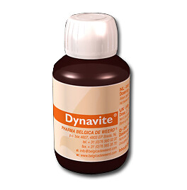 Dynavite by Belgica de Weerd