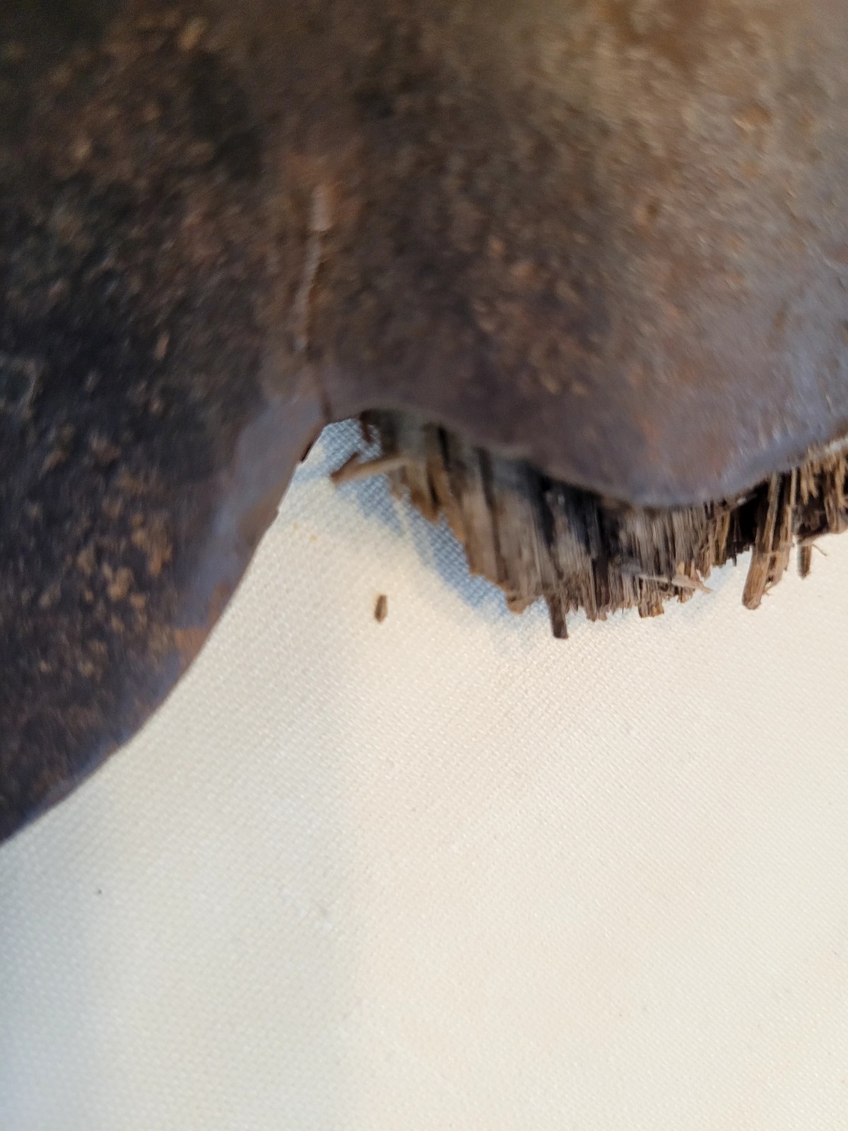 Antique/Vintage? Hewing Axe Hatchet with Wooden Handle