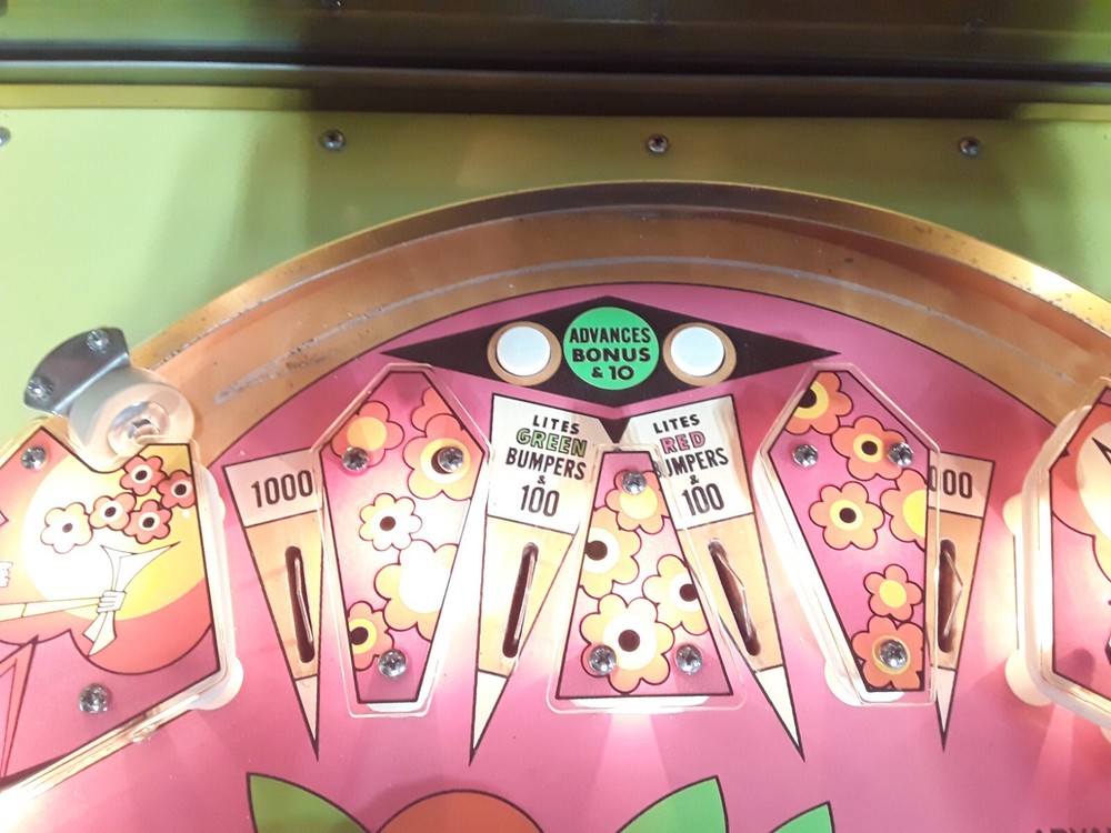 Zip-A-Doo Pinball Machine by Bally
