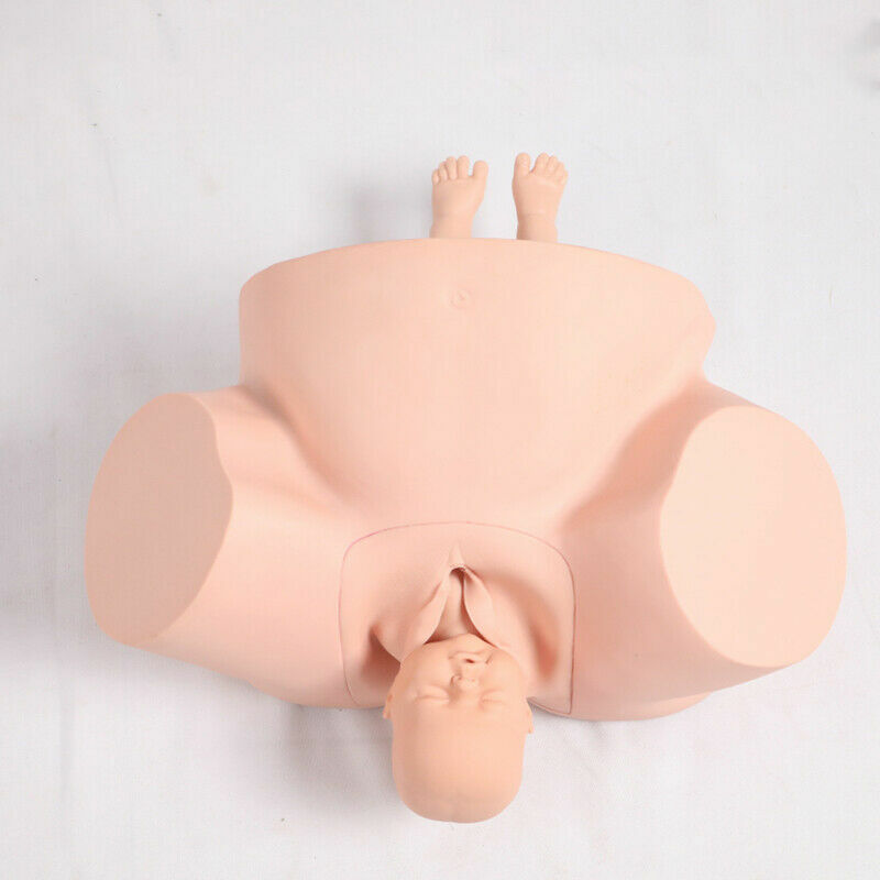 Midwifery Training Simulator,Advanced Vacuum Delivery Simulator