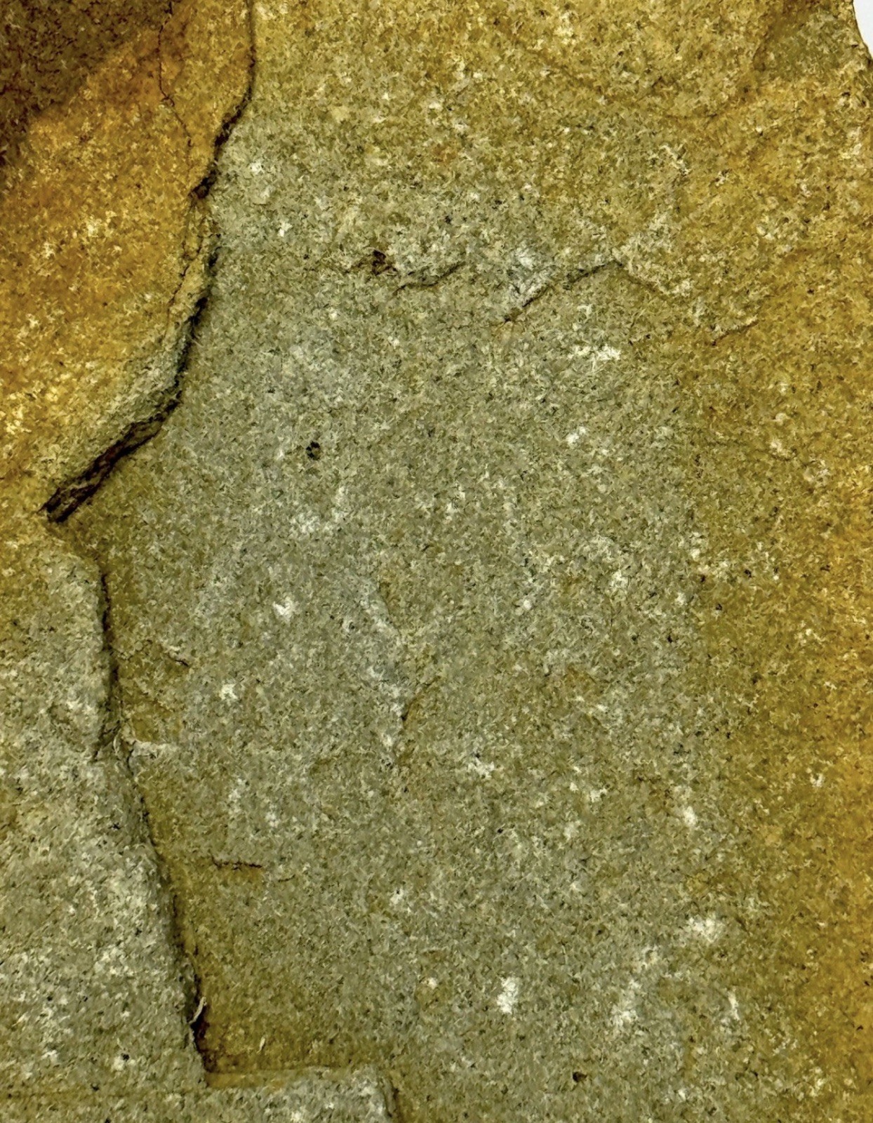 Native American Indian Authentic Artifact Stone Carved Effigy, 2 lb 12 oz • VA