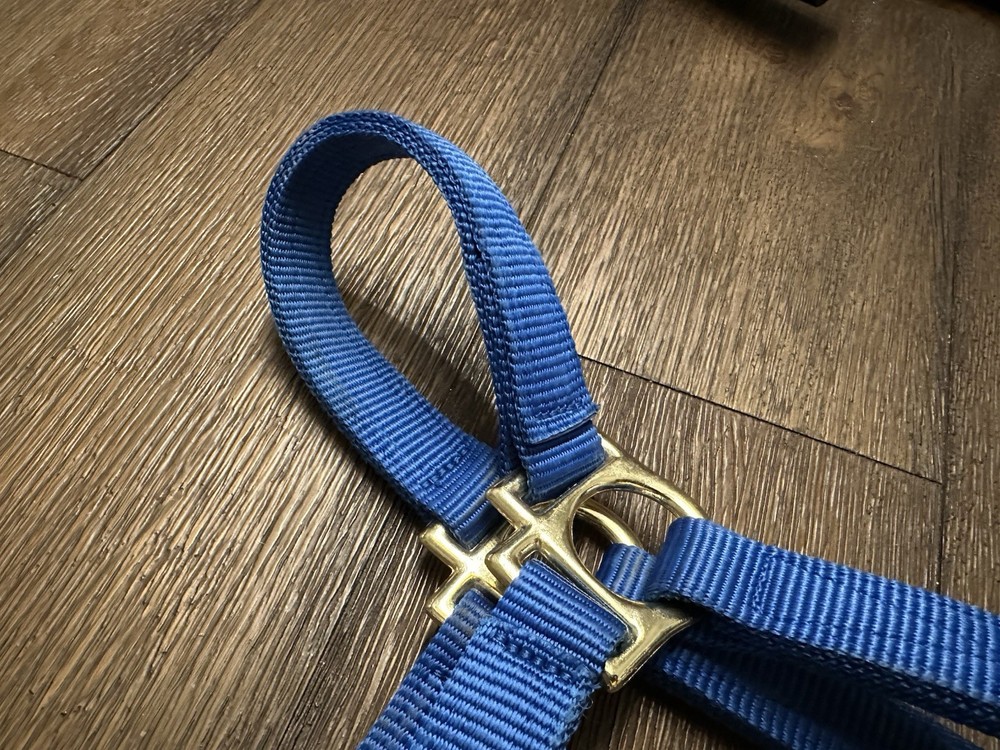 Horse Tack - Valhoma Blue Nylon Halter