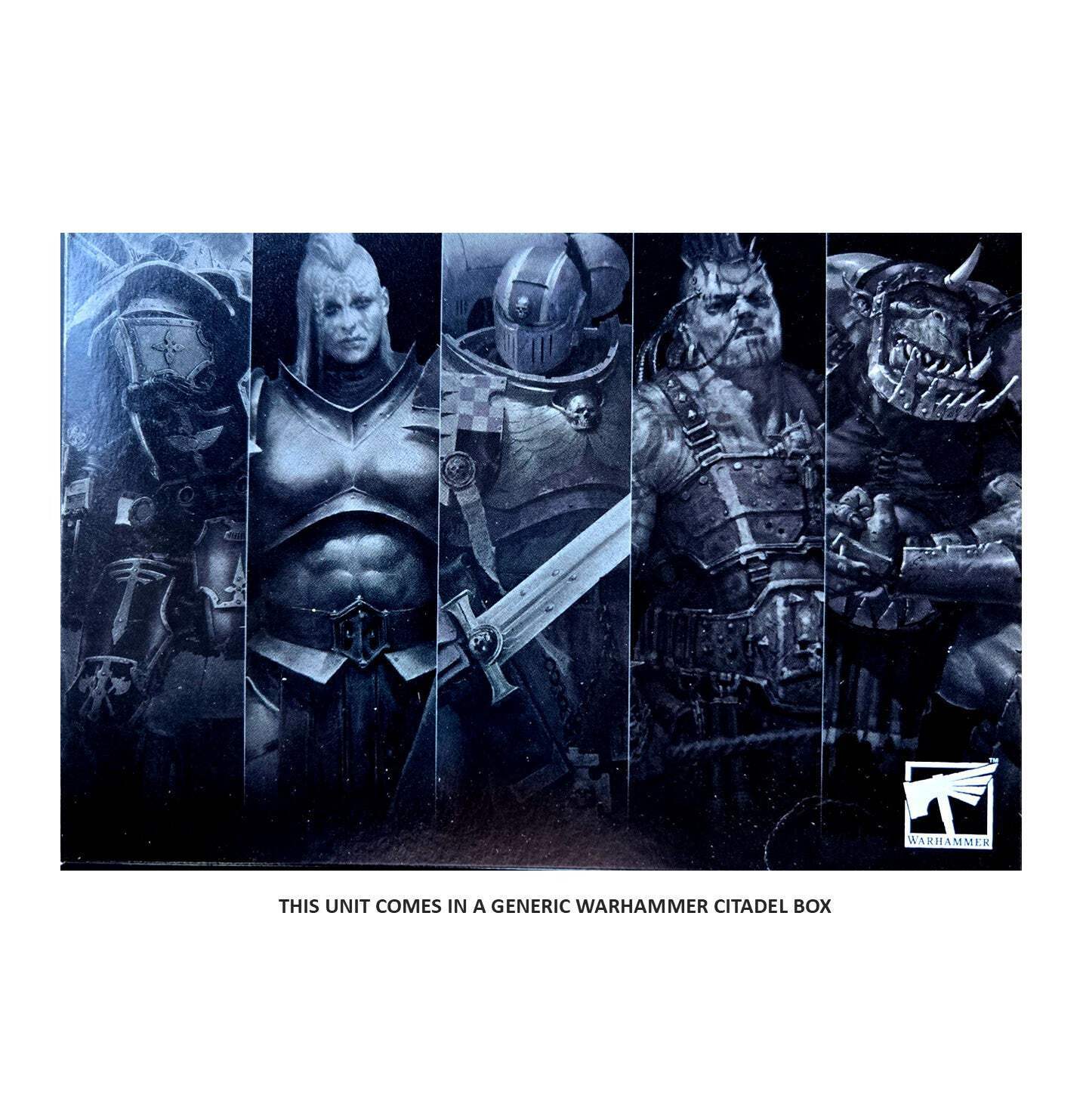 Black Ark Corsairs Dark Elves Elf Cities of Sigmar Warhammer Old World