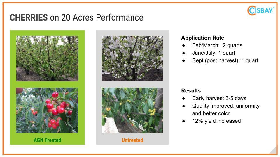 CISBAY AGN Soil Microbes - Enhance nutrient for long root plants 1 gallon