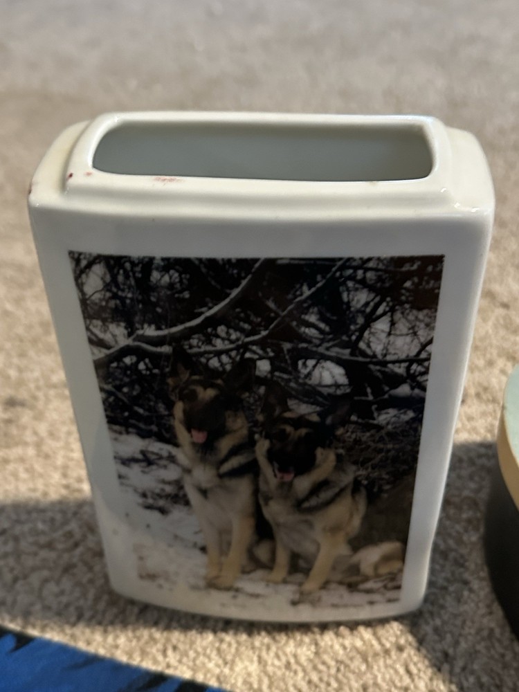 German Shepherds Lot