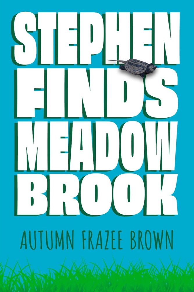 Stephen Finds Meadow Brook