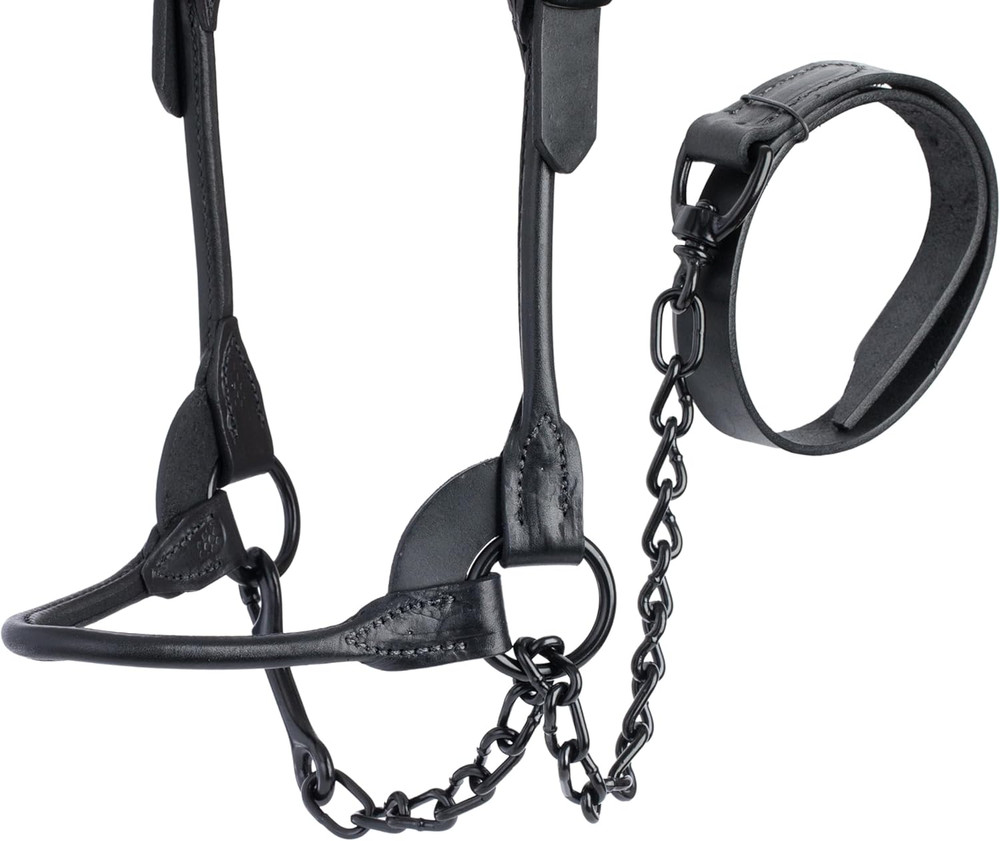 Livestock Black Magic Show Halter, Medium