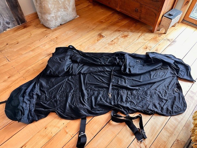 Back on track sheet horse sheet