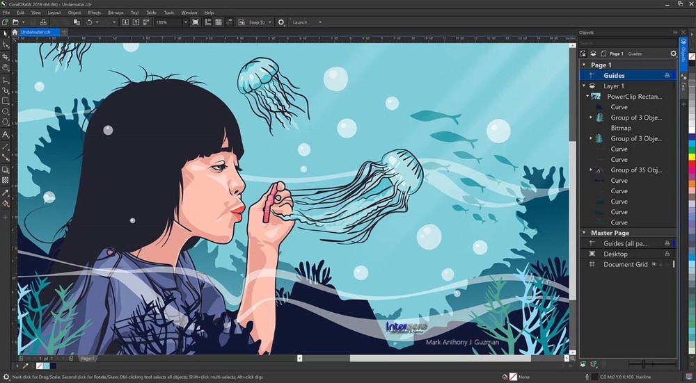 Corel Draw Graphics Suite 2019 Full Version Windows PKC Permanent License Original Packaging NEW