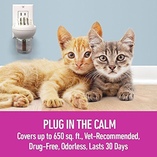 Comfort Zone Multicat Diffuser Kit for Cat Calming