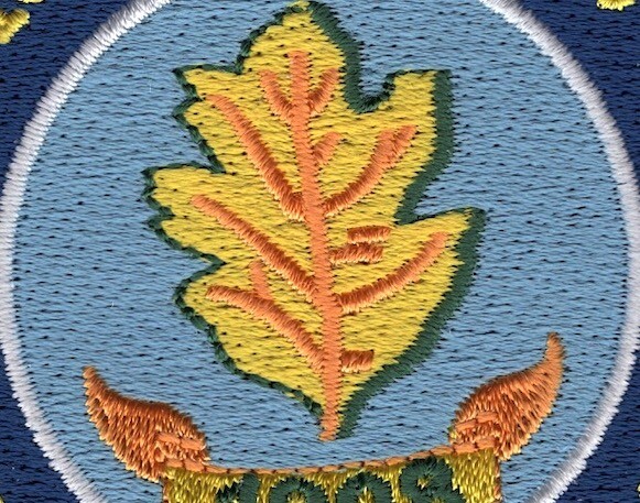 Navy Nurse Corps Patch