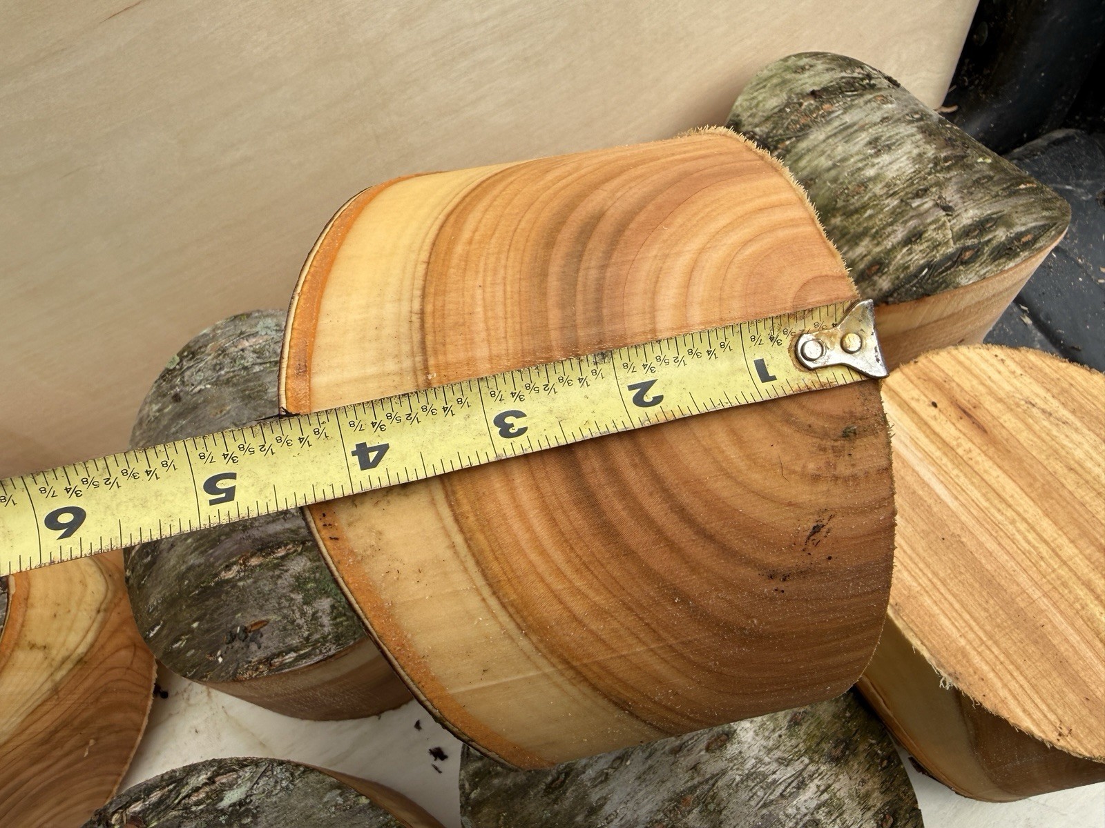 Rare Unique Natural Edge Peach Turning Wood Bowl Blank Lathe 6”x4”