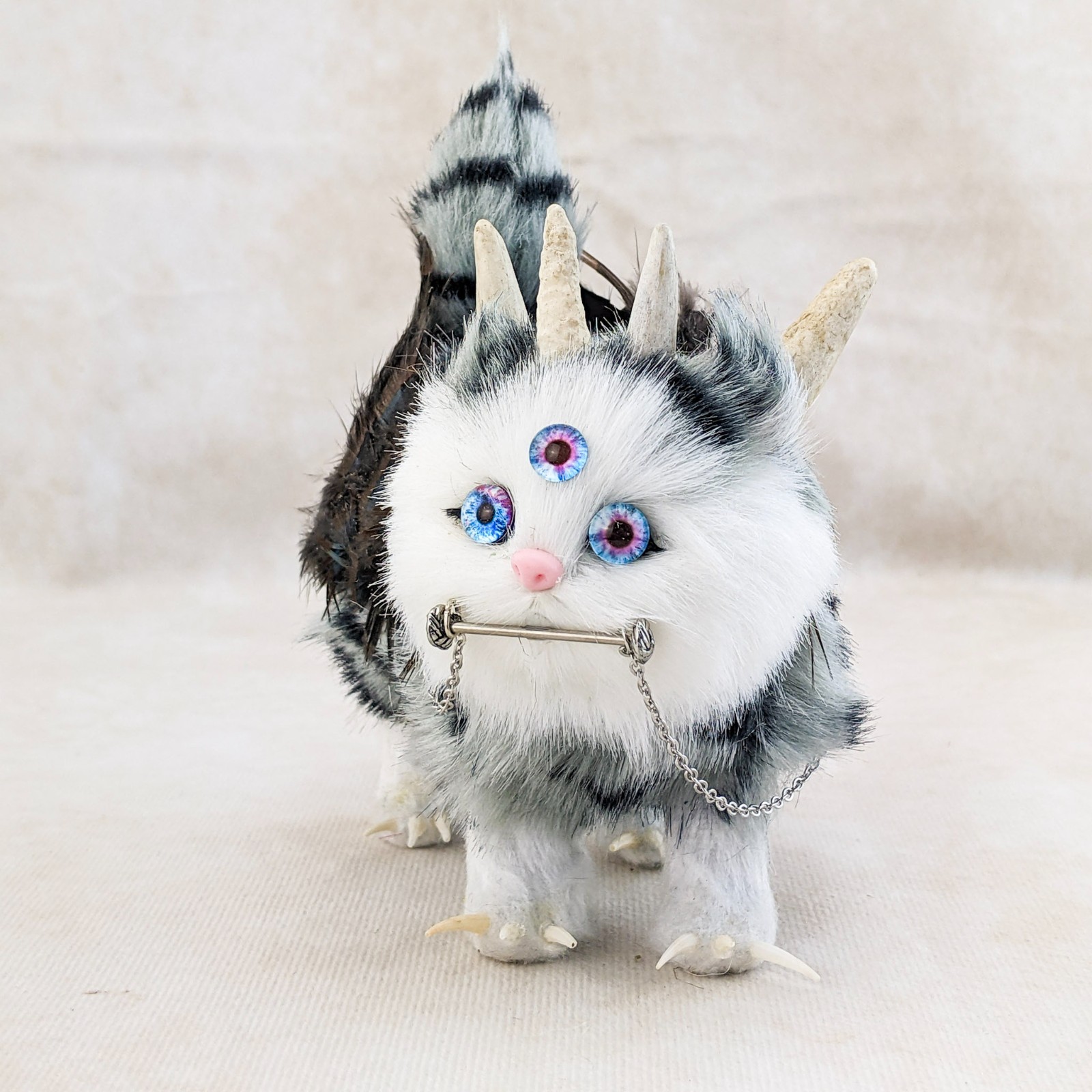 Faux Monster Cat Cryptid display Purogriff cousin to Hippogriff oddities gift
