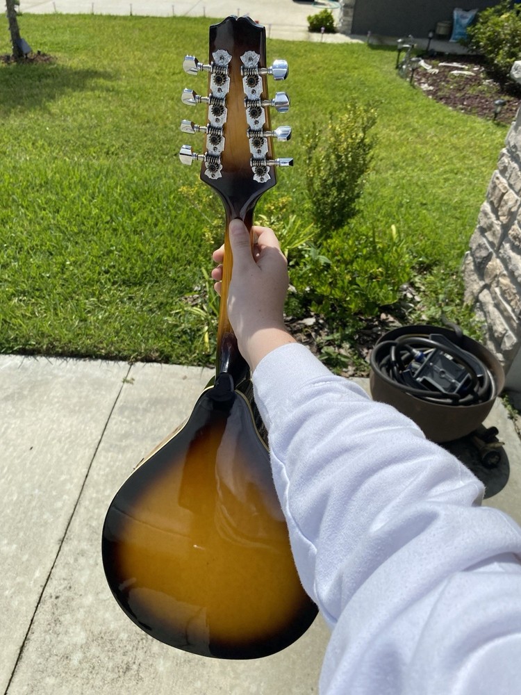 Mandolin with Hard Case – Ready to Play!