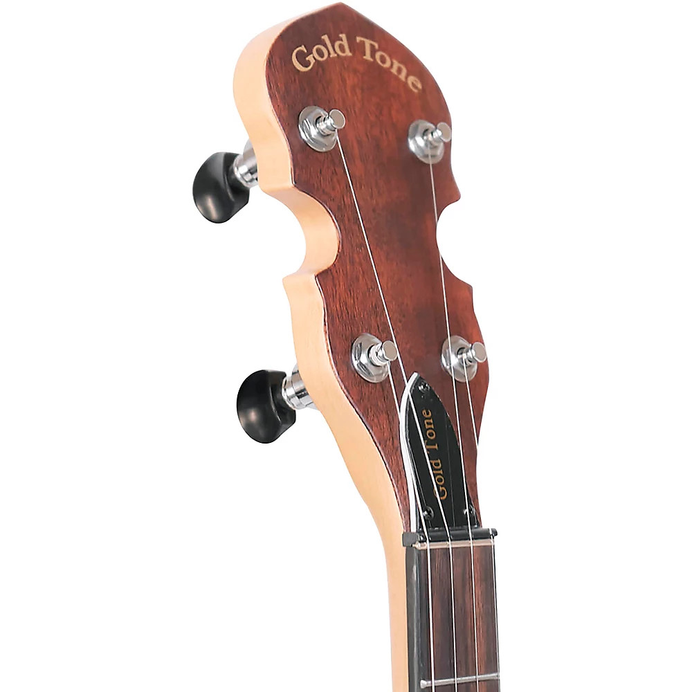 EB-5 Electric Banjo