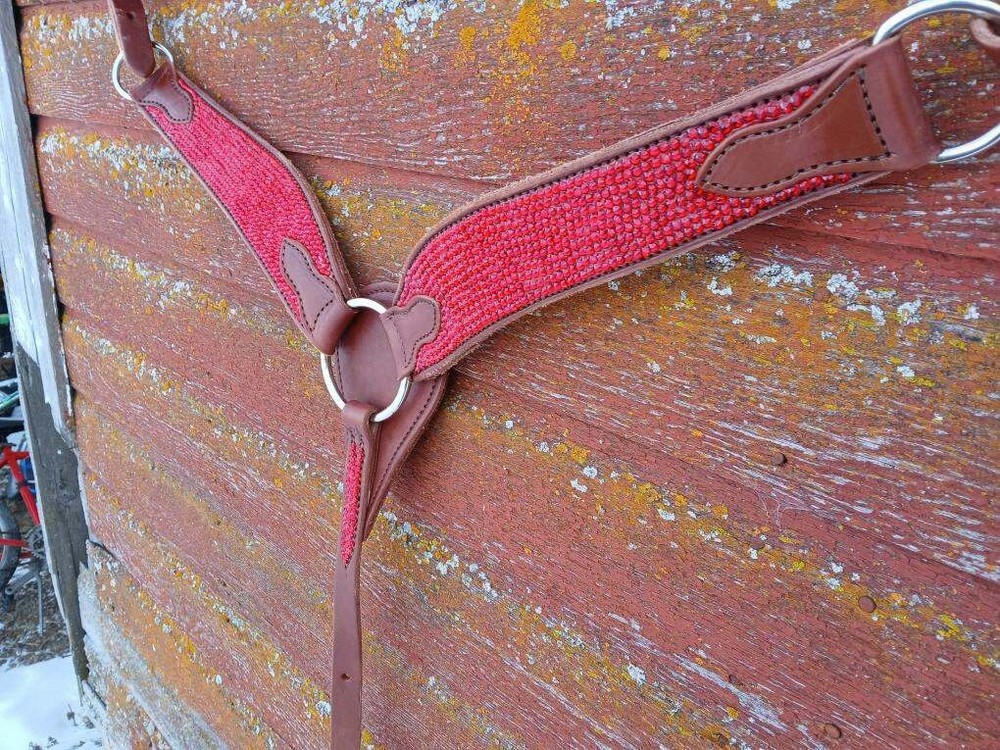Custom Bedazzled Breast Collar!❤️