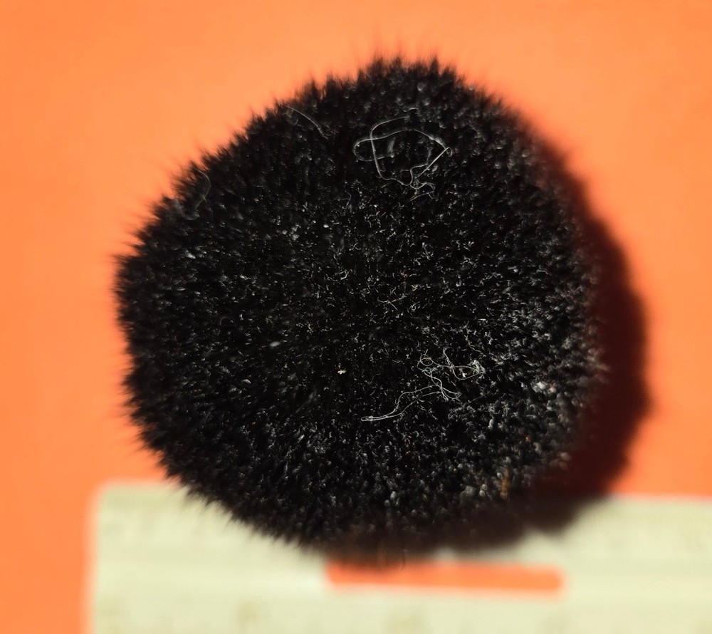 Darwin 24mm synthetic brush