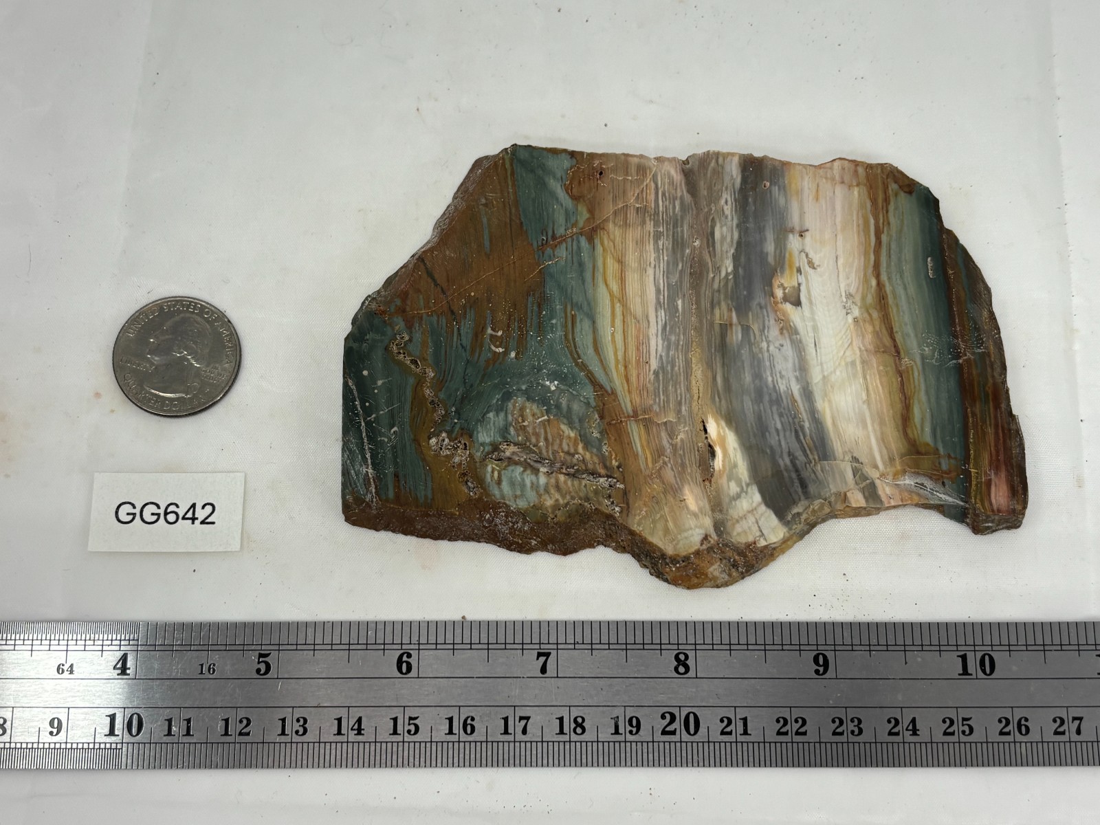 Gary Green Caldera Freedom Jasper Slab Cabbing Lapidary Combo Ship Avail