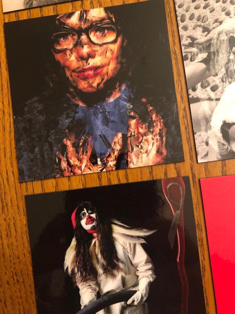 Bjork fridge magnets
