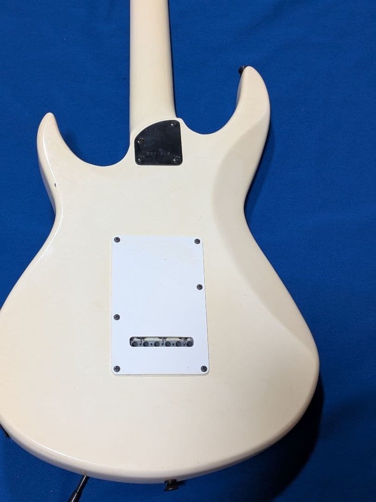 Aria Pro II Black Dog White Arm Case No Issues